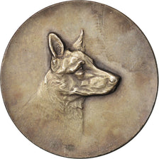 France, Medal, Dog medal, Sports & leisure, AU(55-58), Silvered bronze, 40