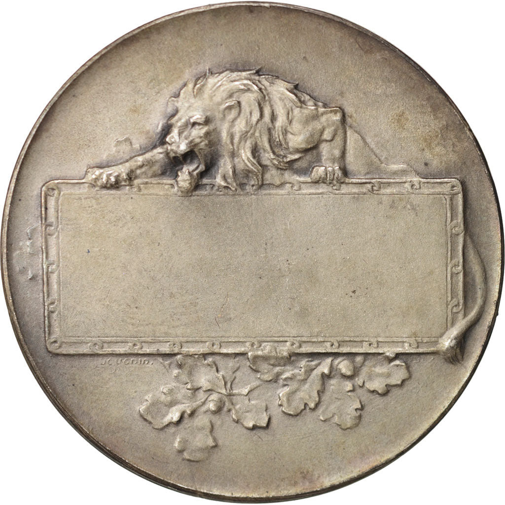 France, Medal, Dog medal, Sports & leisure, AU(55-58), Silvered bronze, 40