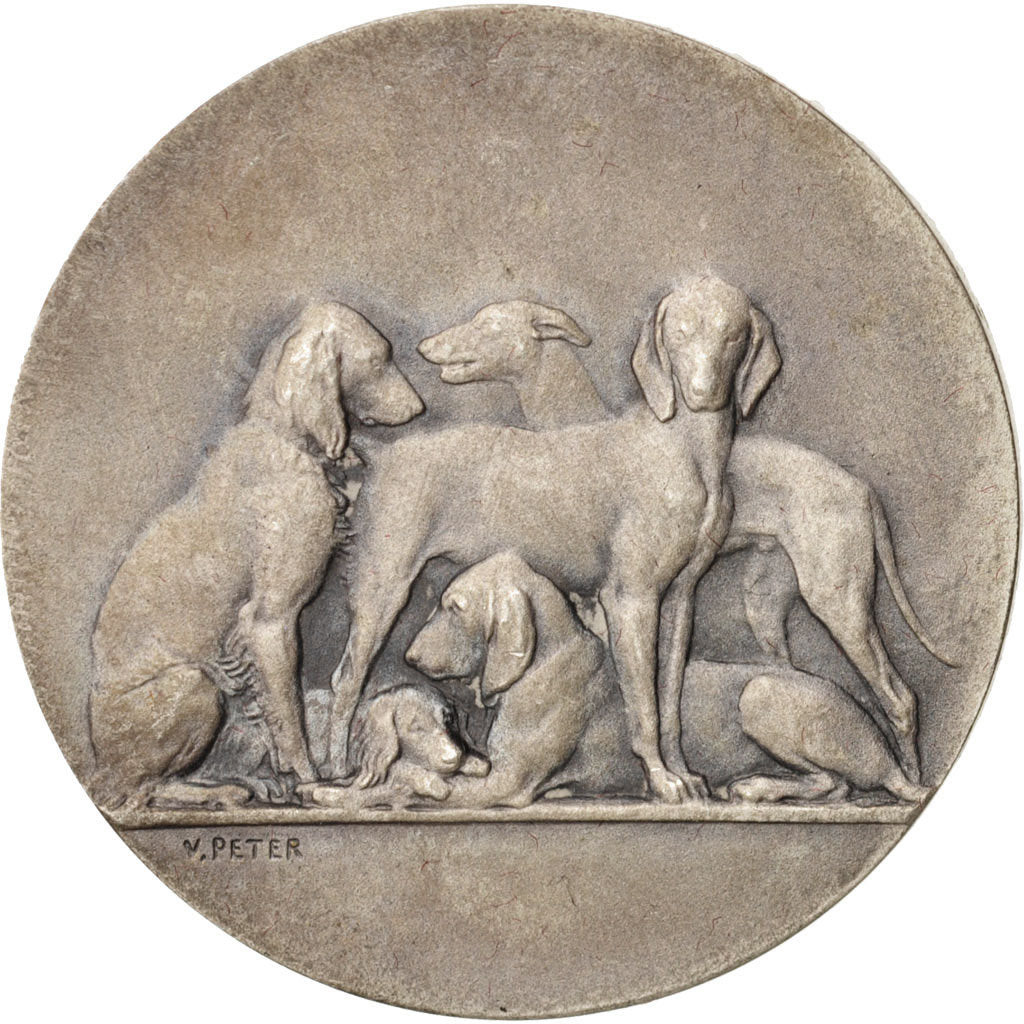 Francia, Medal, Ville de Aumale, Concours canin, Sports & leisure, 1931, V.
