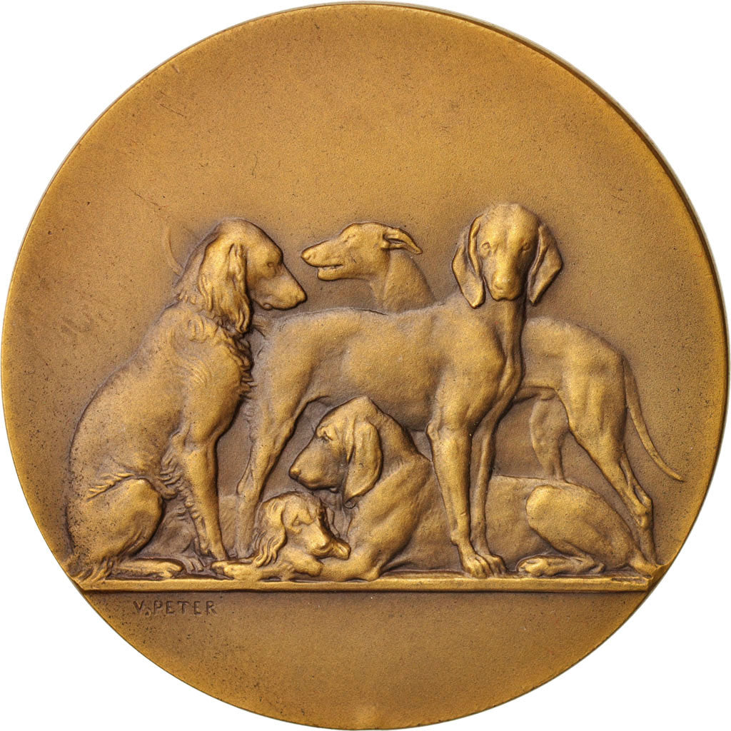 Francia, Medal, Ville de Senlis, Concours canin, Sports & leisure, 1932, V.