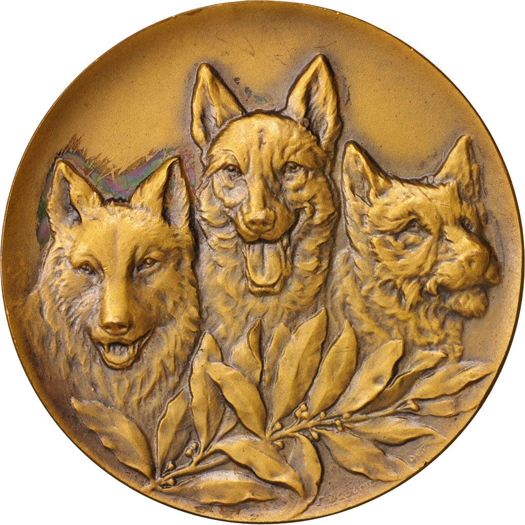 France, Medal, Sheperd medal, Sports & leisure, Huguenin, AU(55-58), Bronze, 50