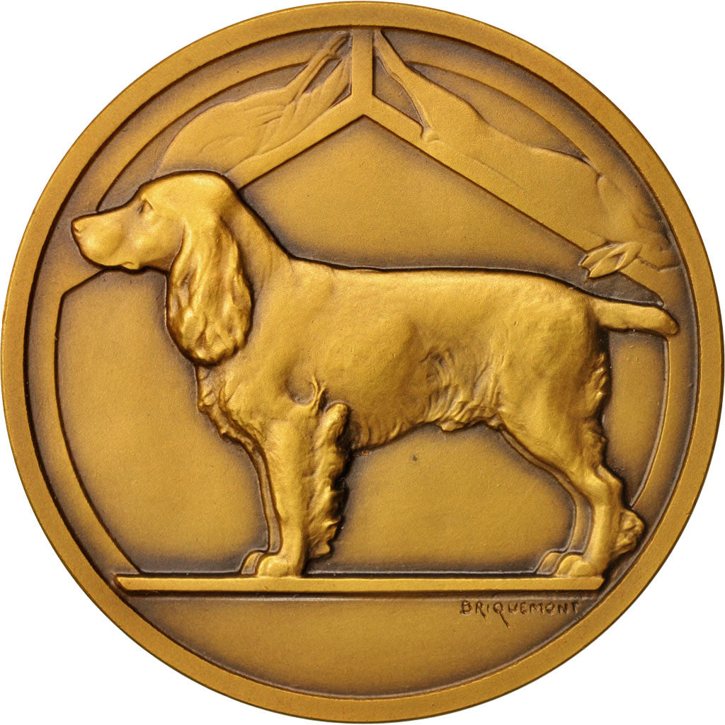France, Medal, Société canine de Dieppe, Sports & leisure, Briquemont