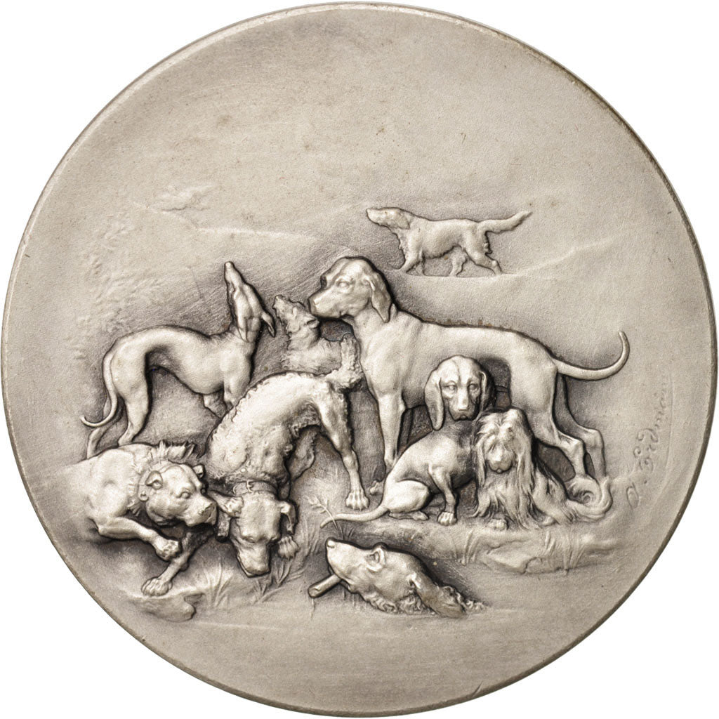 France, Medal, VIlle du Havre, Société canine de la Basse-Seine, Sports &