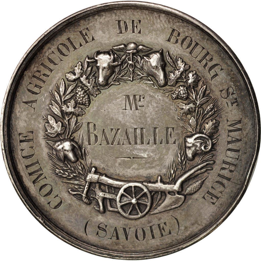 Francia, Medal, Comice agricole de Bourg St Maurice, French Third Republic