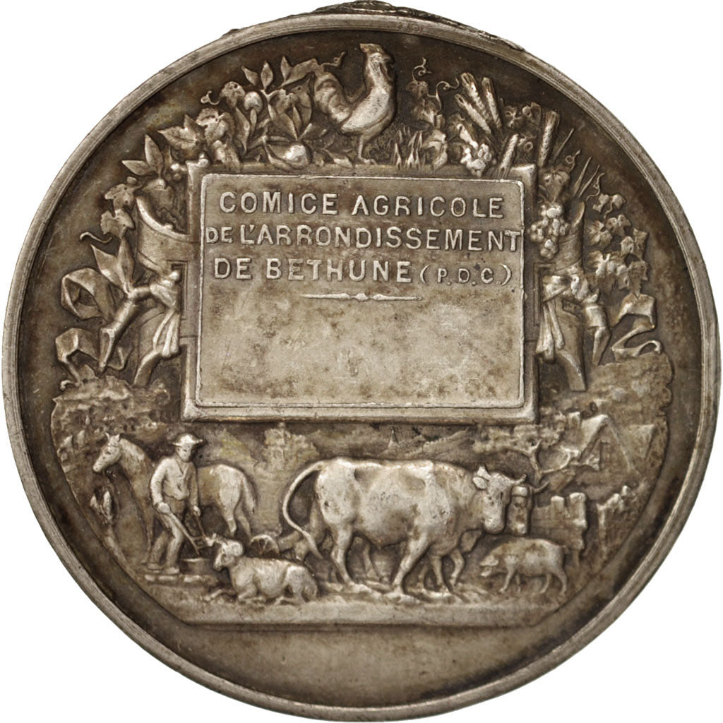 France, Medal, Comice agricole de l'arrondissement de Béthune, French Third