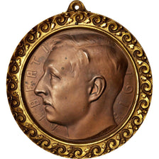 Belgium, Medal, Albert Ier de Belgique, History, 1915, Léon Vogelaar