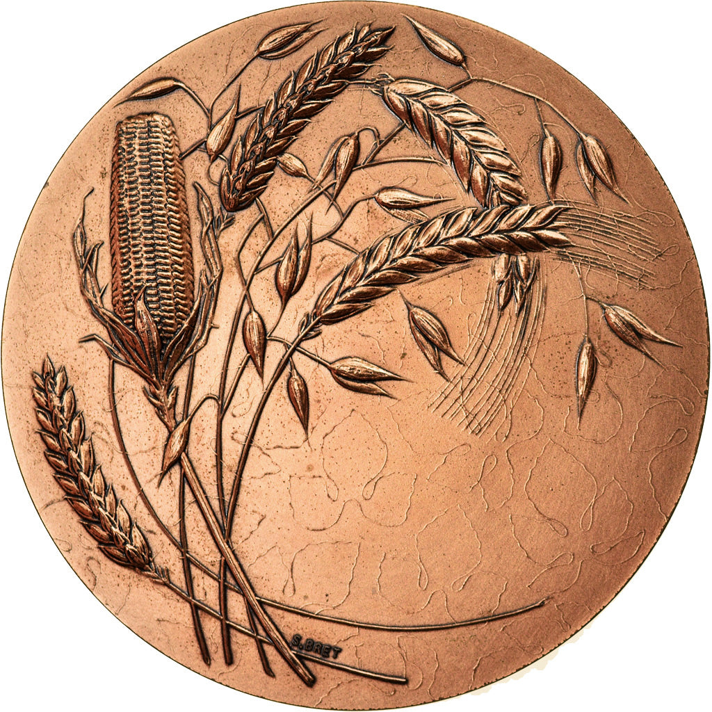 France, Medal, Ministère de l'Agriculture, Bret, AU(55-58), Bronze