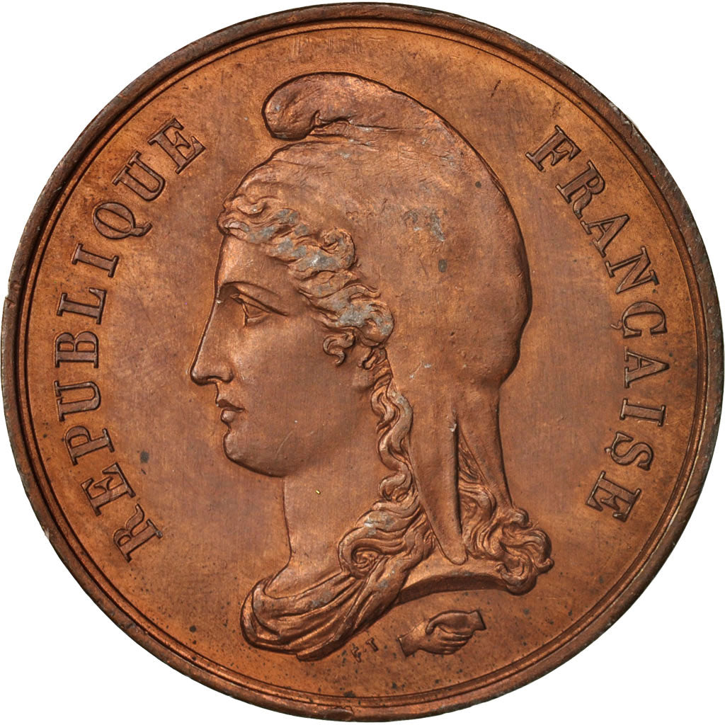 France, Medal, Installation d'un comité de Guerre et de Défense Nationale