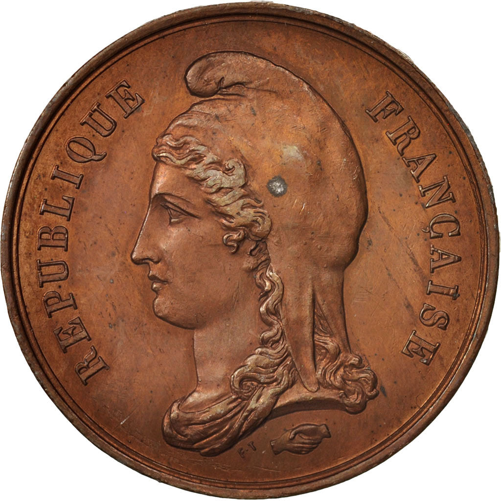 France, Medal, Arrivée à Lyon de Général Challemel, History, 1870