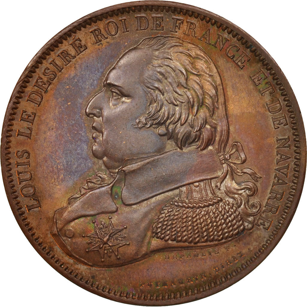 Frankrijk, Medal, Louis XVIII, History, XIXth Century, FDC, Koper