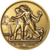 Frankreich, Medal, Bataille de la Moskowa, First French Empire, History, STGL