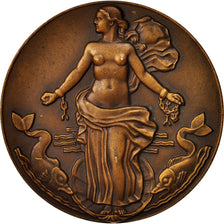 Frankrijk, Medal, Compagnie Générale Transatlantique, Liberté, Shipping
