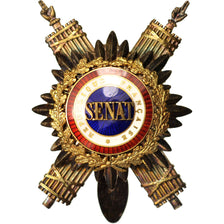 France, Insigne de Sénateur, Mr Dehove Sénateur (1914-1924), Medal, 1914