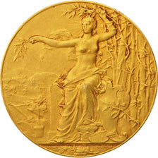 Francia, Medal, French Third Republic, Politics, Society, War, Massoulle, SPL...