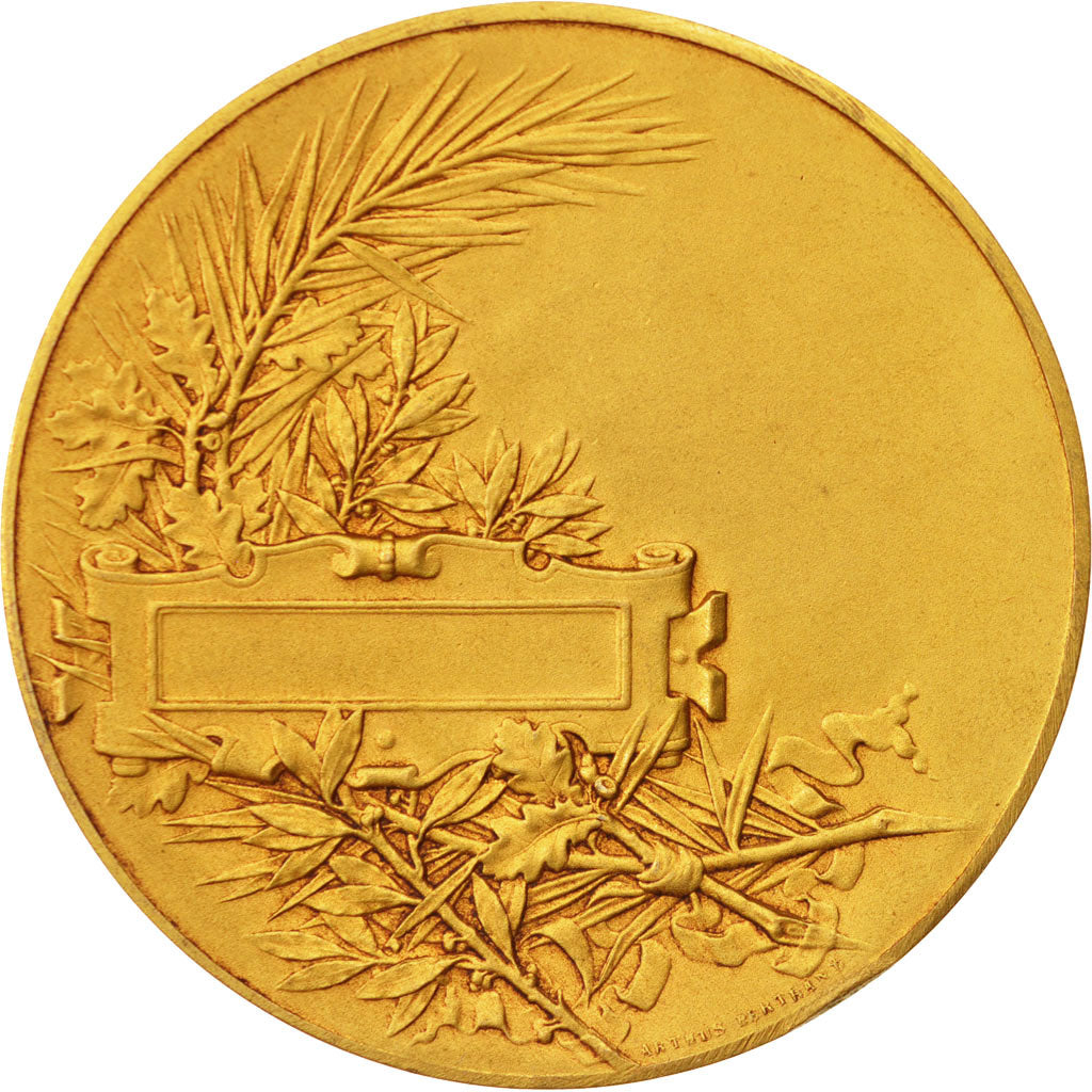 Francia, Medal, French Third Republic, Politics, Society, War, Massoulle, SPL...