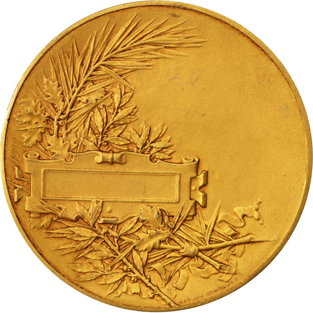 France, Medal, French Third Republic, Politics, Society, War, Massoulle