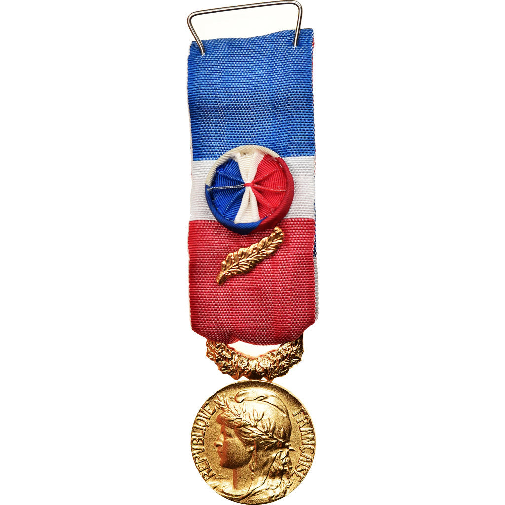 France, Médaille d'honneur du travail, Medal, 2011, Excellent Quality, Mattei