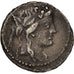 Monnaie, Volteia, Denier, 76 BC, Roma, TTB, Argent, Sear:3