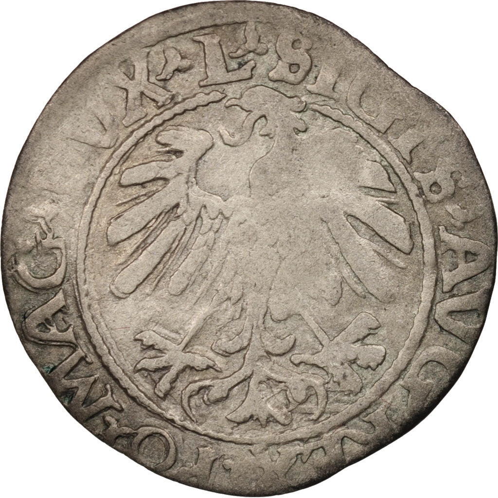 Lithuania, Sigismond Auguste (1547-1572), 1/2 Gros, 1559, EF(40-45), Silver