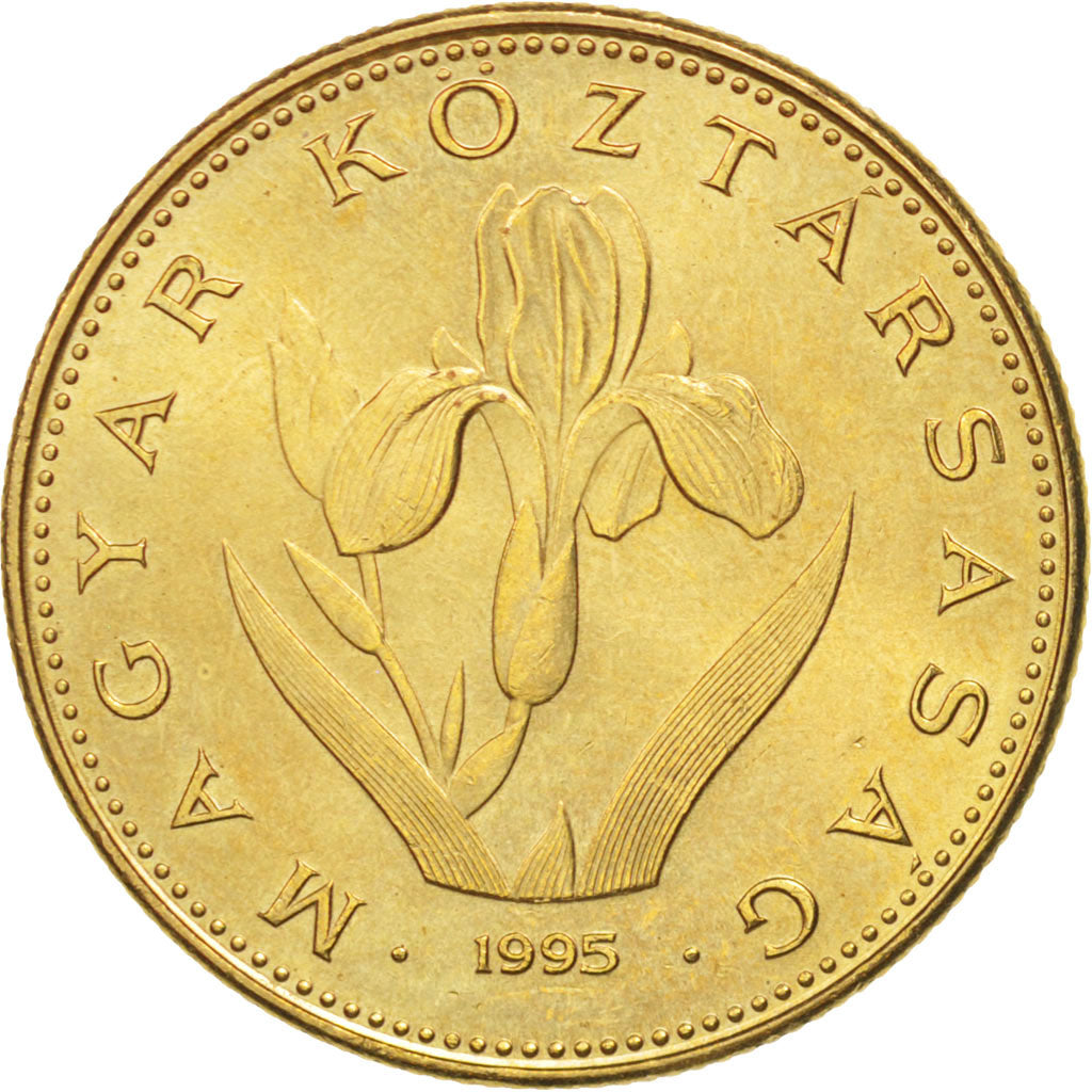 Coin, Hungary, 20 Forint, 1993, Budapest, AU(55-58), Nickel-brass, KM:696