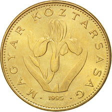 Coin, Hungary, 20 Forint, 1993, Budapest, AU(55-58), Nickel-brass, KM:696