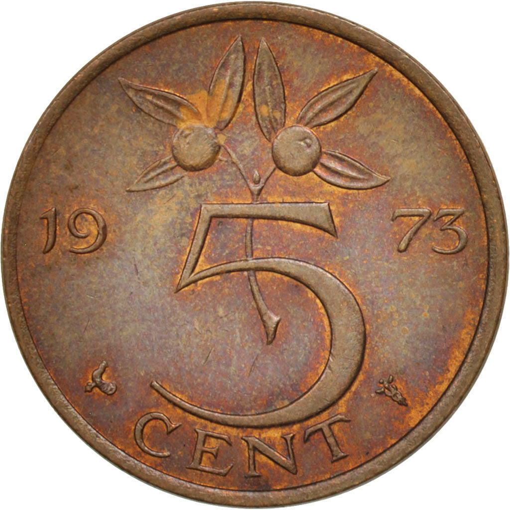Coin, Netherlands, Juliana, 5 Cents, 1972, MS(63), Bronze, KM:181