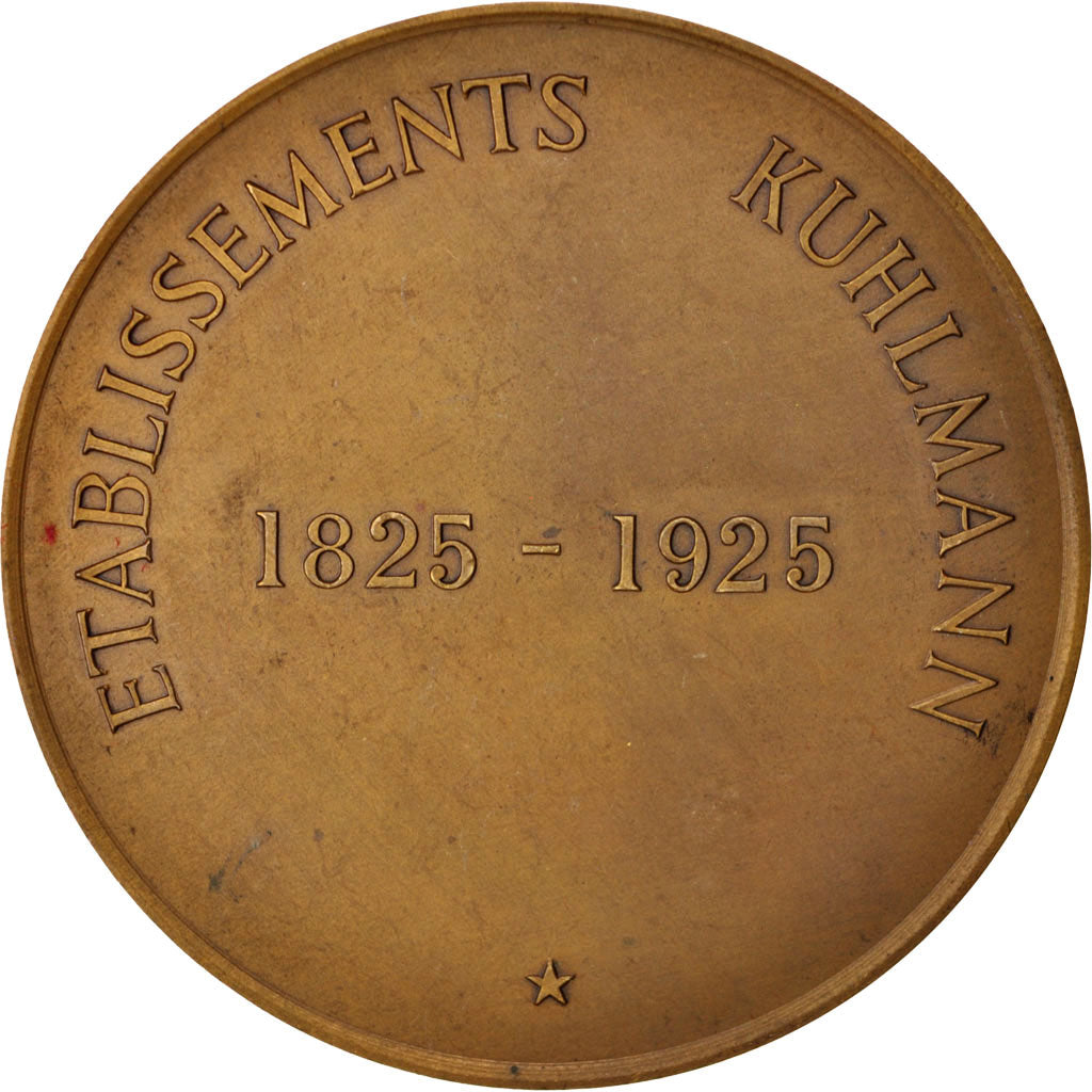 Francja, Medal, Etablissements Kuhlmann, 1925, AU(55-58), Bronze