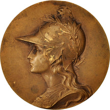 France, Medal, Politics, Society, War, EF(40-45), Bronze, 50