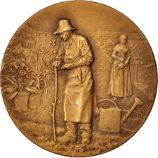 France, Medal, Société d'Horticulture de Douai, French Third Republic, Flora