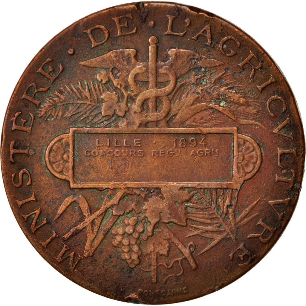 Frankreich, Medal, Agriculture Ministery, Politics, Society, War, SGE+, Bronze