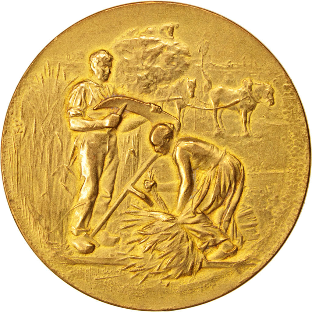 Francia, Medal, Société  d'Agriculture de l'Arrondissement de Remiremont