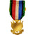 Frankreich, Société des vétérans des armées de terre et de mer, Medal