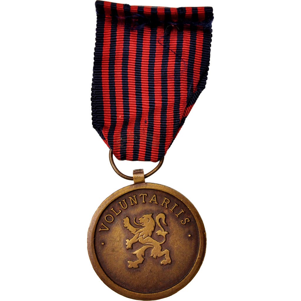 Belgium, Médaille du Volontaire, Medal, Excellent Quality, Bronze, 37