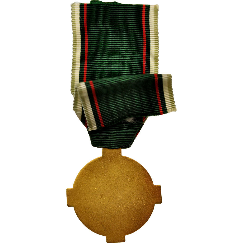 Chile, Auricania Kingdom, Order of the South Constellation, Medal, Excellent