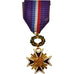 France, Dévouement artistique, Medal, Excellent Quality, Bronze