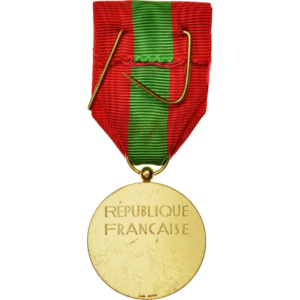Frankreich, Famille Française, Medal, Very Good Quality, Bronze