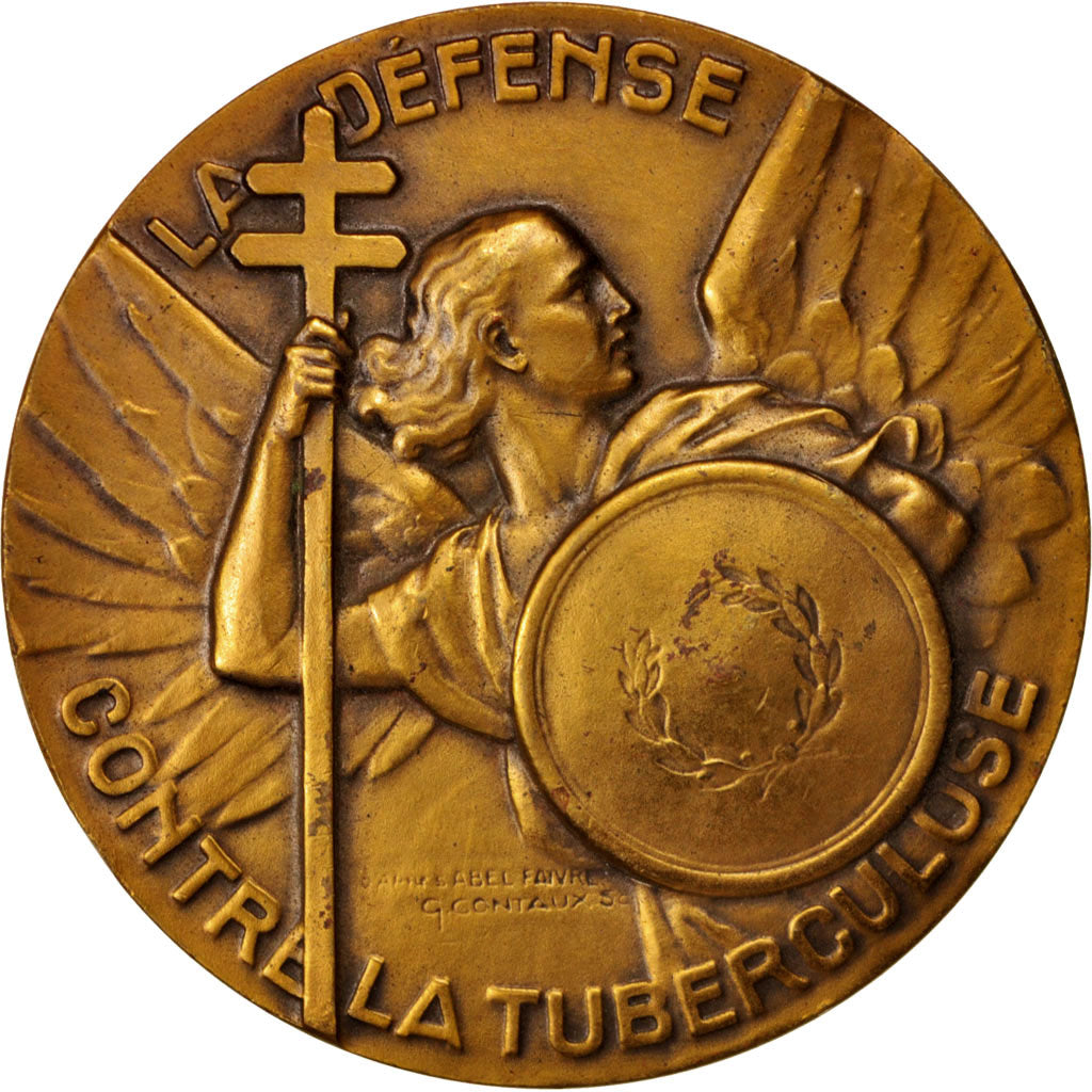 Frankreich, Medal, La défense contre la tuberculose, Medicine, Contaux