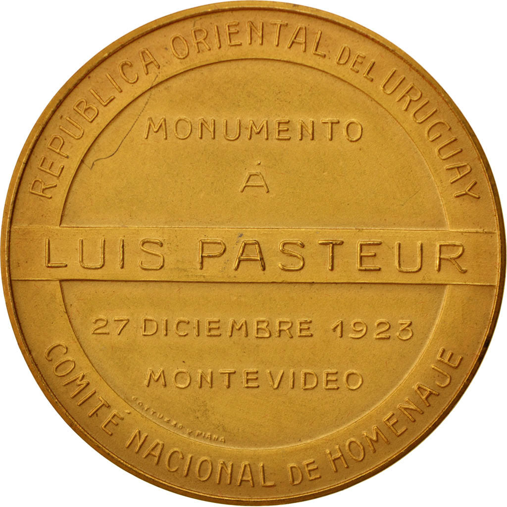 Uruguay, Medal, Louis Pasteur, Medicine, 1923, AU(55-58), Bronze, 46