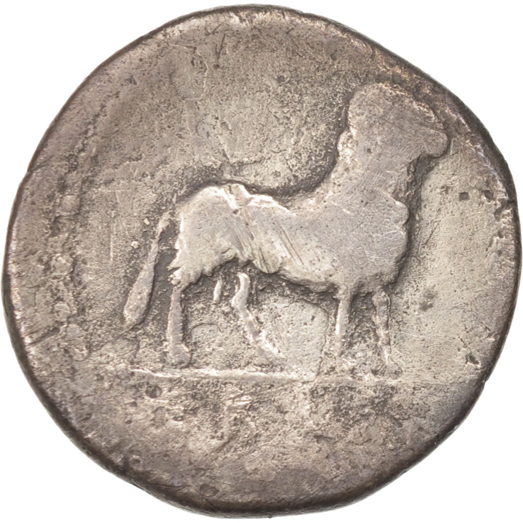 Rustia, Denier, 74 BC, Roma, TB, Argent