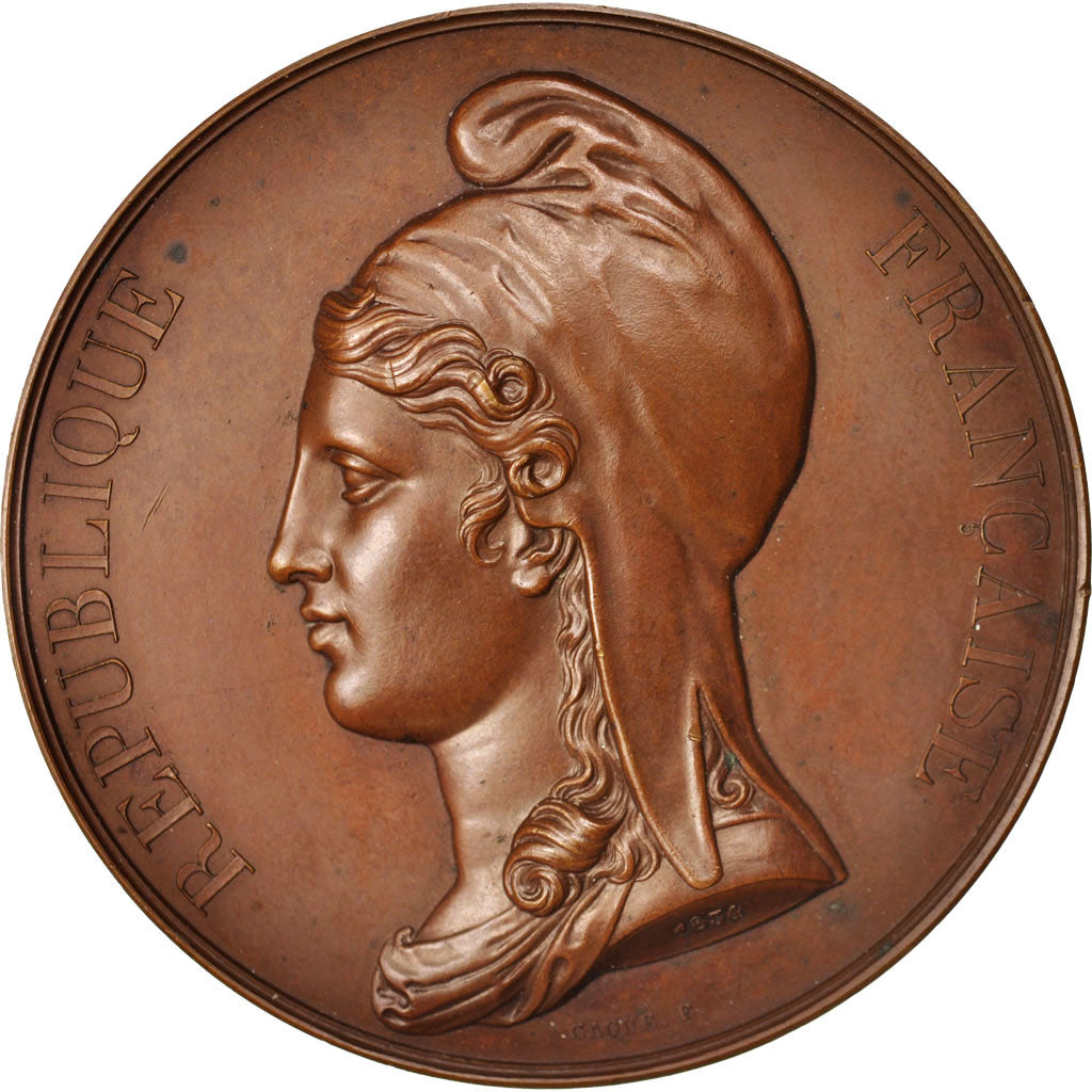France, Medal, République Française, History, XIXth Century, Caqué