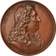 France, Medal, Les rois de France, Louis XIV, Louis XIV, History, XIXth Century