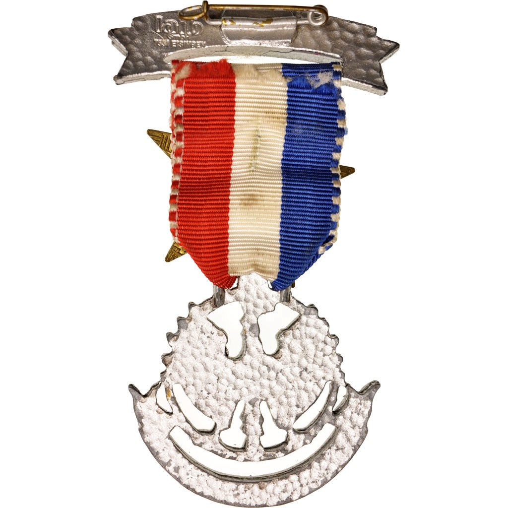 France, 5e Cuirassier Royal Pologne, Medal, Très bon état, Bronze