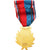 France, Confédération Musicale de France, Vétéran, Médaille, Non circulé