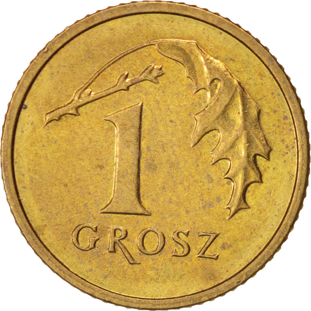 Monnaie, Pologne, Grosz, 2001, Warsaw, SUP+, Laiton, KM:276