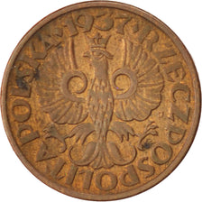 Poland, Grosz, 1937, Warsaw, AU(50-53), Bronze, KM:8a