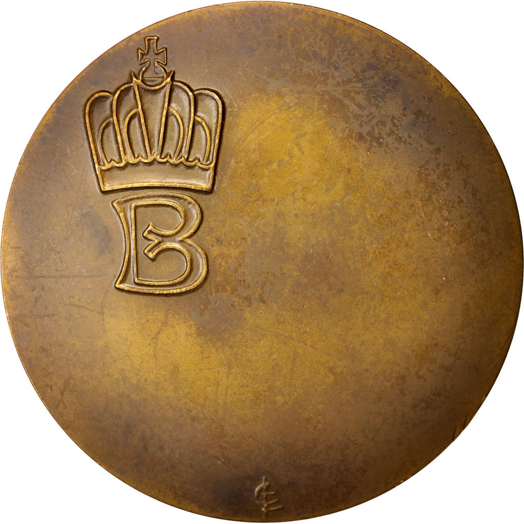 Belgique, Medal, Baudouin roi des Belges, History, TTB+, Bronze