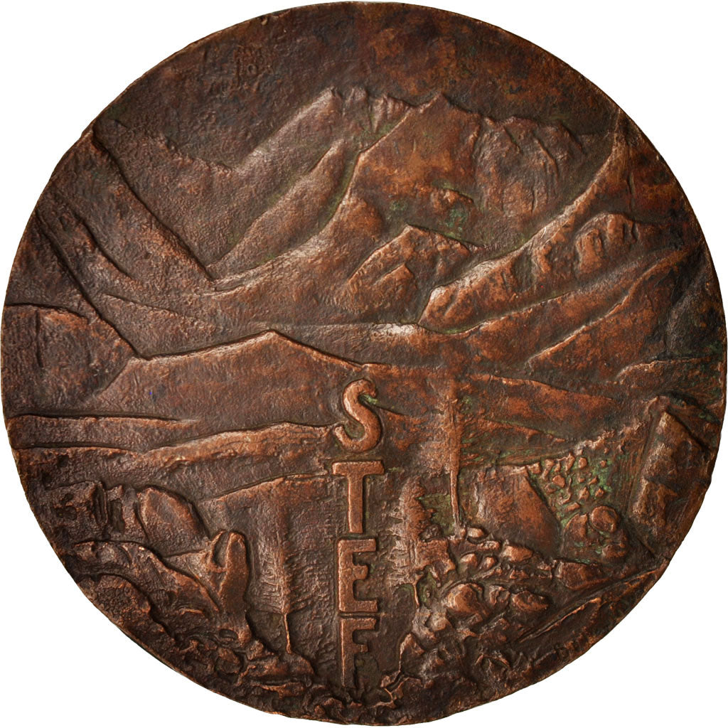 France, Medal, Société Française de Transports et d'entrepots frigorifiques