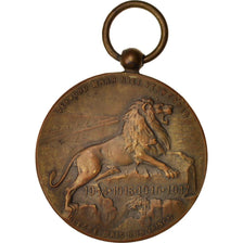 Belgio, Medal, Pour la Belgique, Politics, Society, War, 1917, BB+, Bronzo