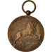 Belgio, Medal, Pour la Belgique, Politics, Society, War, 1917, BB+, Bronzo