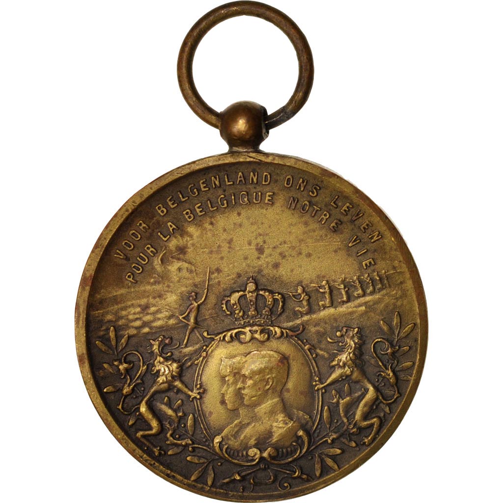 Belgio, Medal, Pour la Belgique, Politics, Society, War, 1917, BB+, Bronzo